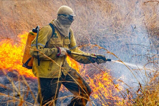 governo-divulga-planejamento-para-enfrentar-incendios-em-2026