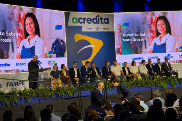nova-linha-de-credito-de-fundo-garantidor-formado-por-sebrae-e-bndes-pode-alavancar-mais-de-r$-9-bilhoes