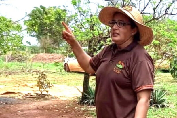 de-artesa-a-gestora-rural:-como-empresaria-transformou-estancia-em-modelo-de-turismo-e-producao