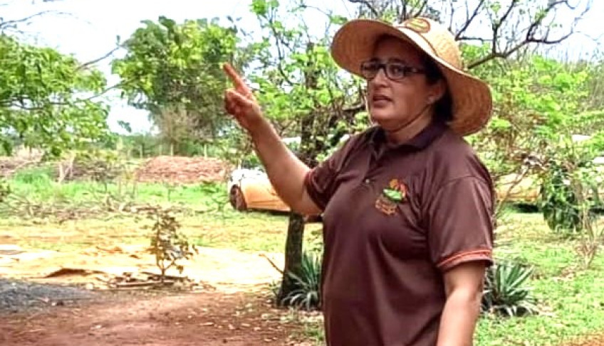 de-artesa-a-gestora-rural:-como-empresaria-transformou-estancia-em-modelo-de-turismo-e-producao