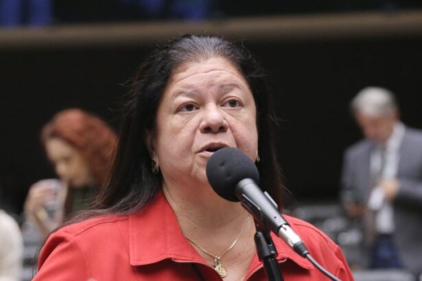 lei-define-regras-para-a-guarda-compartilhada-de-pets