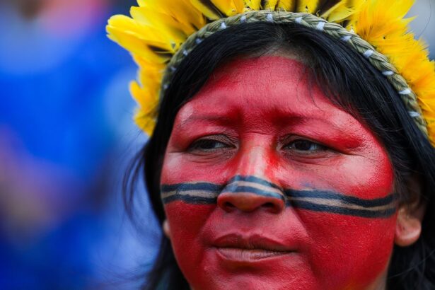 estudo-do-ipea-aponta-poucos-indigenas-liderando-grupos-de-pesquisa