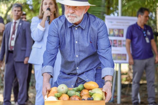 lula:-qualidade-do-agro-e-essencial-para-ampliar-exportacoes
