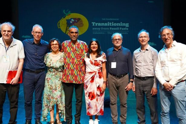 cientistas-criam-painel-para-orientar-transicao-energetica-global