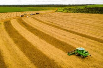 mt-consolida-safra-25/26-com-producao-recorde-e-mantem-lideranca-na-soja-ha-26-safras
