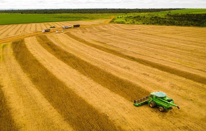 mt-consolida-safra-25/26-com-producao-recorde-e-mantem-lideranca-na-soja-ha-26-safras