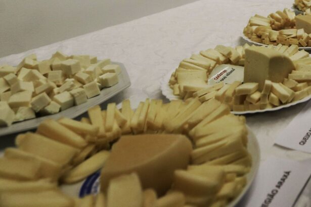brasil-comeca-a-importar-queijo-mais-barato-apos-acordo-mercosul–ue