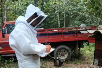 produtores-de-mel-de-mato-grosso-participam-de-encontro-e-concurso-nacional