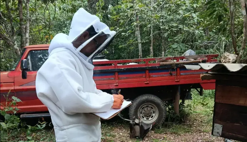 produtores-de-mel-de-mato-grosso-participam-de-encontro-e-concurso-nacional