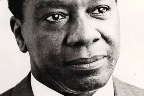 com-milton-santos,-fliaraxa-coloca-a-literatura-no-centro-do-mundo