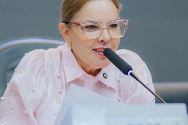 vereadores-protocolaram-mais-de-670-indicacoes-para-melhorias-em-escolas-de-cuiaba