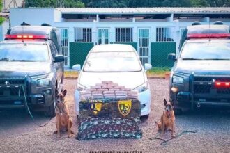 gefron-apreende-26-kg-de-pasta-base-de-cocaina-e-causa-prejuizo-de-r$-500-mil-as-faccoes-criminosas