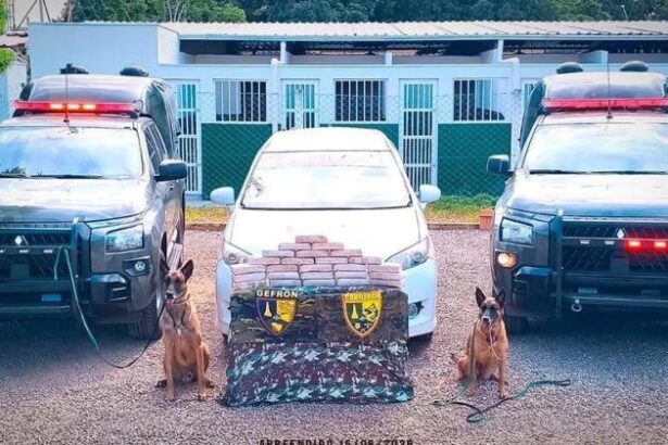 gefron-apreende-26-kg-de-pasta-base-de-cocaina-e-causa-prejuizo-de-r$-500-mil-as-faccoes-criminosas