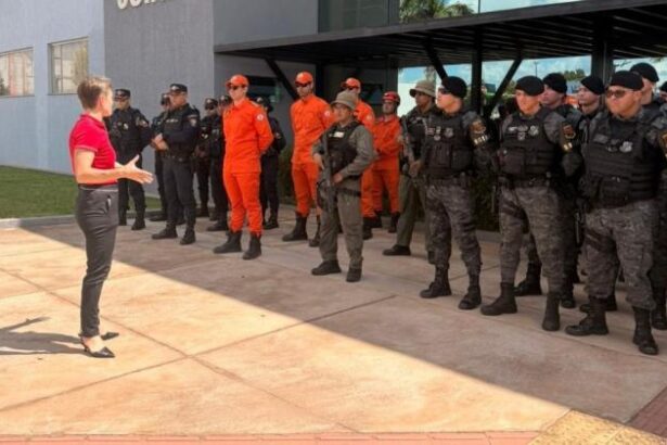 operacao-territorio-livre-ja-prendeu-95-criminosos-e-apreendeu-28-armas-de-fogo