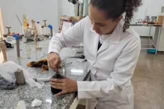fapemat-realiza-seminario-de-alinhamento-do-programa-pesquisa-para-o-sus-em-cuiaba