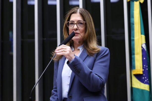 comissao-aprova-suspensao-de-estagio-por-120-dias-para-gestantes