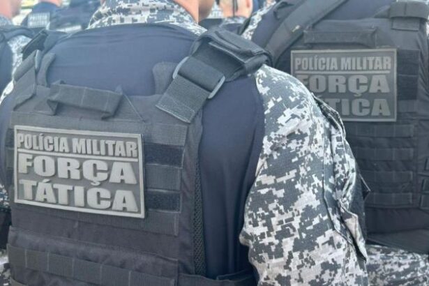pm-reforca-patrulhamento-na-regiao-sudeste-de-mt-e-aumenta-apreensao-de-drogas