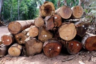 sema-aplica-r$-2,9-bilhoes-em-multas-por-desmatamento-ilegal-e-incendios-florestais-em-2025