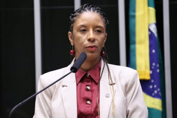 ministra-da-igualdade-racial-afirma-que-demarcacao-de-terras-quilombolas-e-prioridade-de-estado