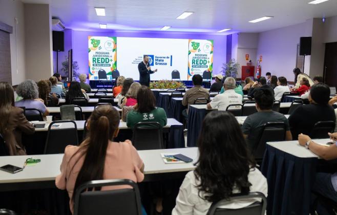 sema-executa-planejamento-para-comercializacao-de-reducoes-de-emissoes-de-carbono