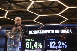desmatamento-na-amazonia-cai-61,4%-em-maio-de-2026