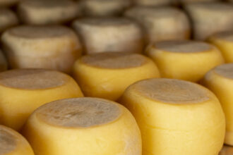 concurso-do-queijo-de-mato-grosso-recebe-inscricoes-ate-18-de-junho