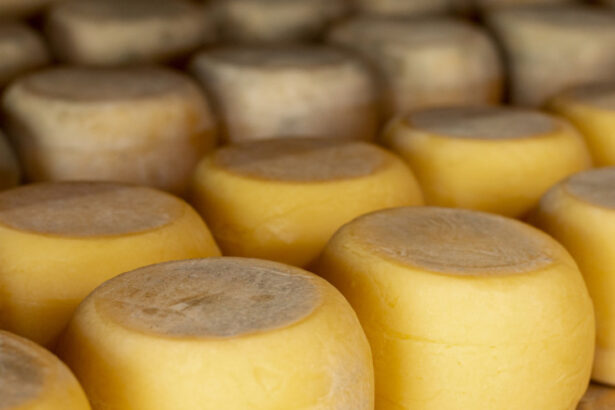 concurso-do-queijo-de-mato-grosso-recebe-inscricoes-ate-18-de-junho