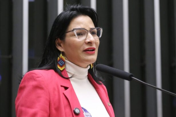 comissao-aprova-garantir-divorcio-postumo-a-vitimas-de-feminicidio