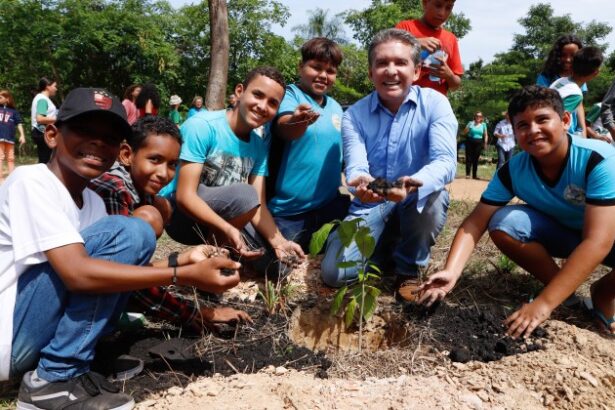 tce-mt-transforma-agenda-ambiental-em-solucoes-para-os-municipios